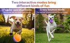 Interactive Dog Toys Ball, Automatic Rolling Toy, Lively Pet Ball For Medium ,Large Dogs To Relieve Boredom, Activated Automatic Motion Dog Balls Toy With LED Flash, USB Rechargeable Orange Purple