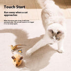 Electric Orange Mouse